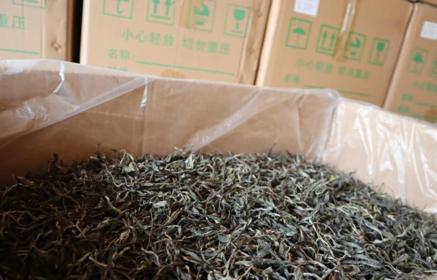 中高端茶市场严重饱和！顶级名山古树还能撑多久？